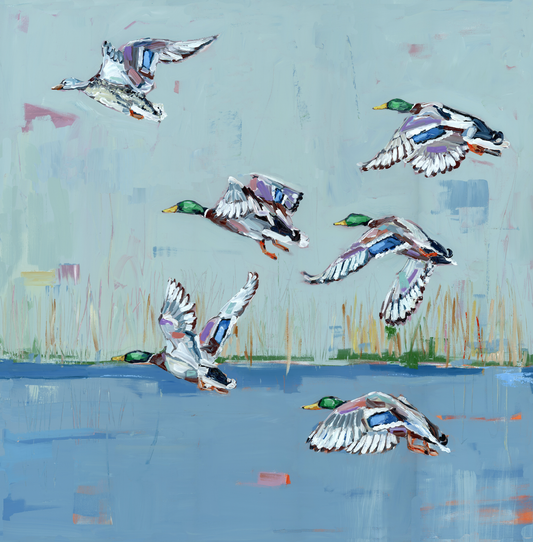 "Coastal Mallards" on paper