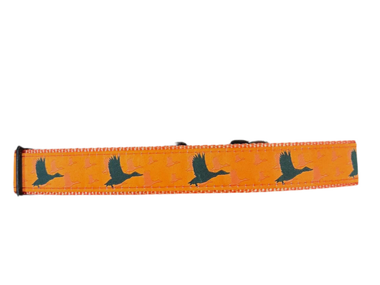 Orange Duck Dog Collar