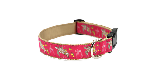 Guy Harvey Sea Turtle Dog Collar