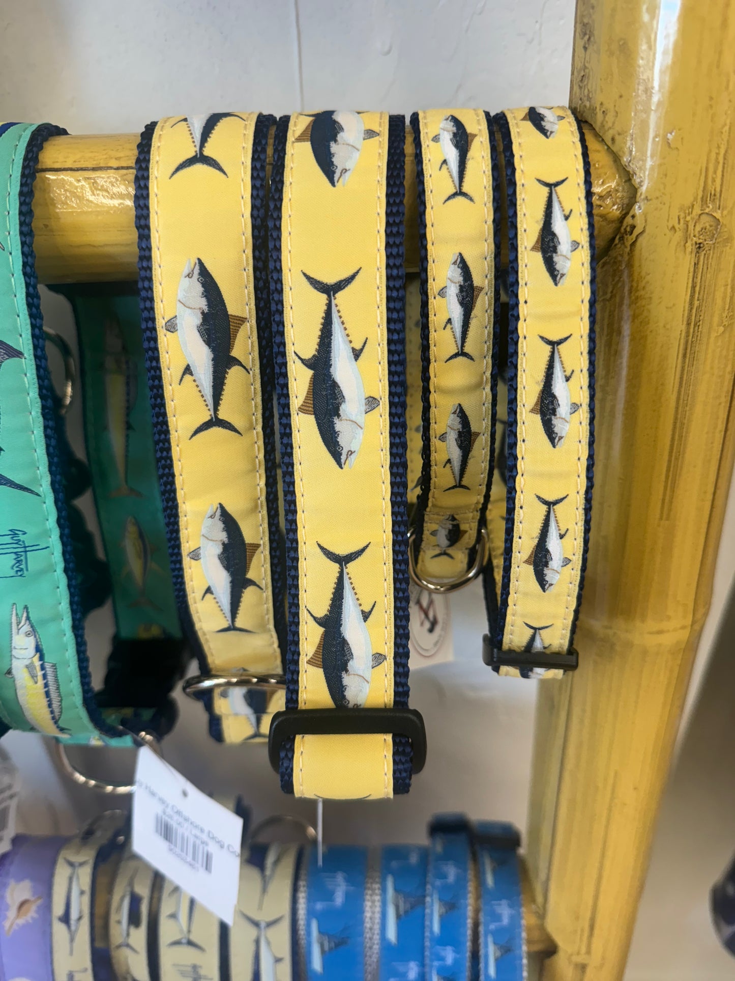 Atlantic Blue Fin Tuna Dog Collar