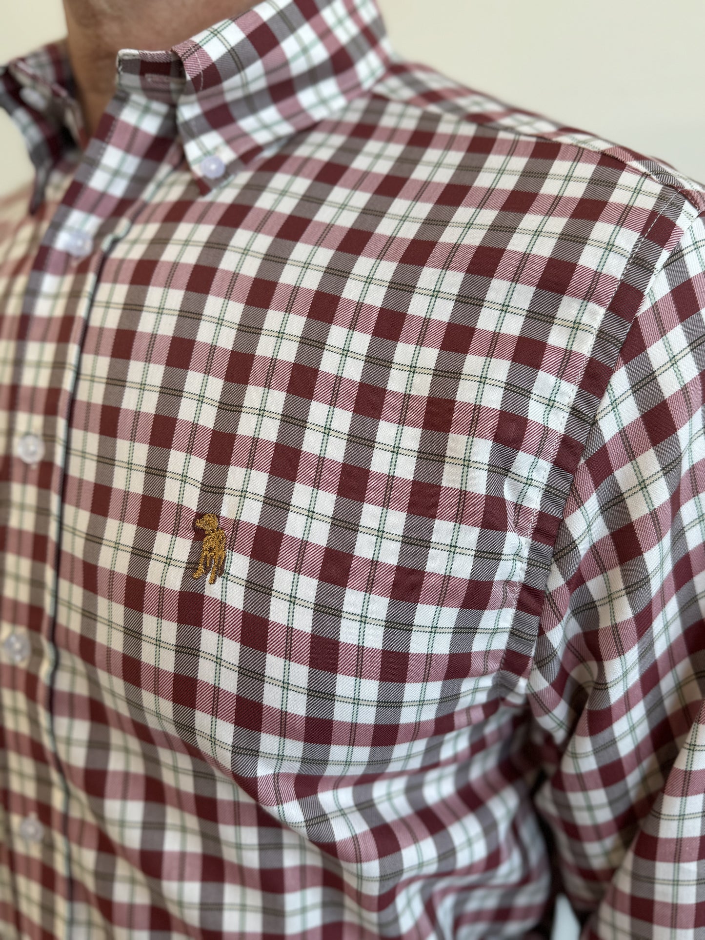 Button Down Wild Turkey Check