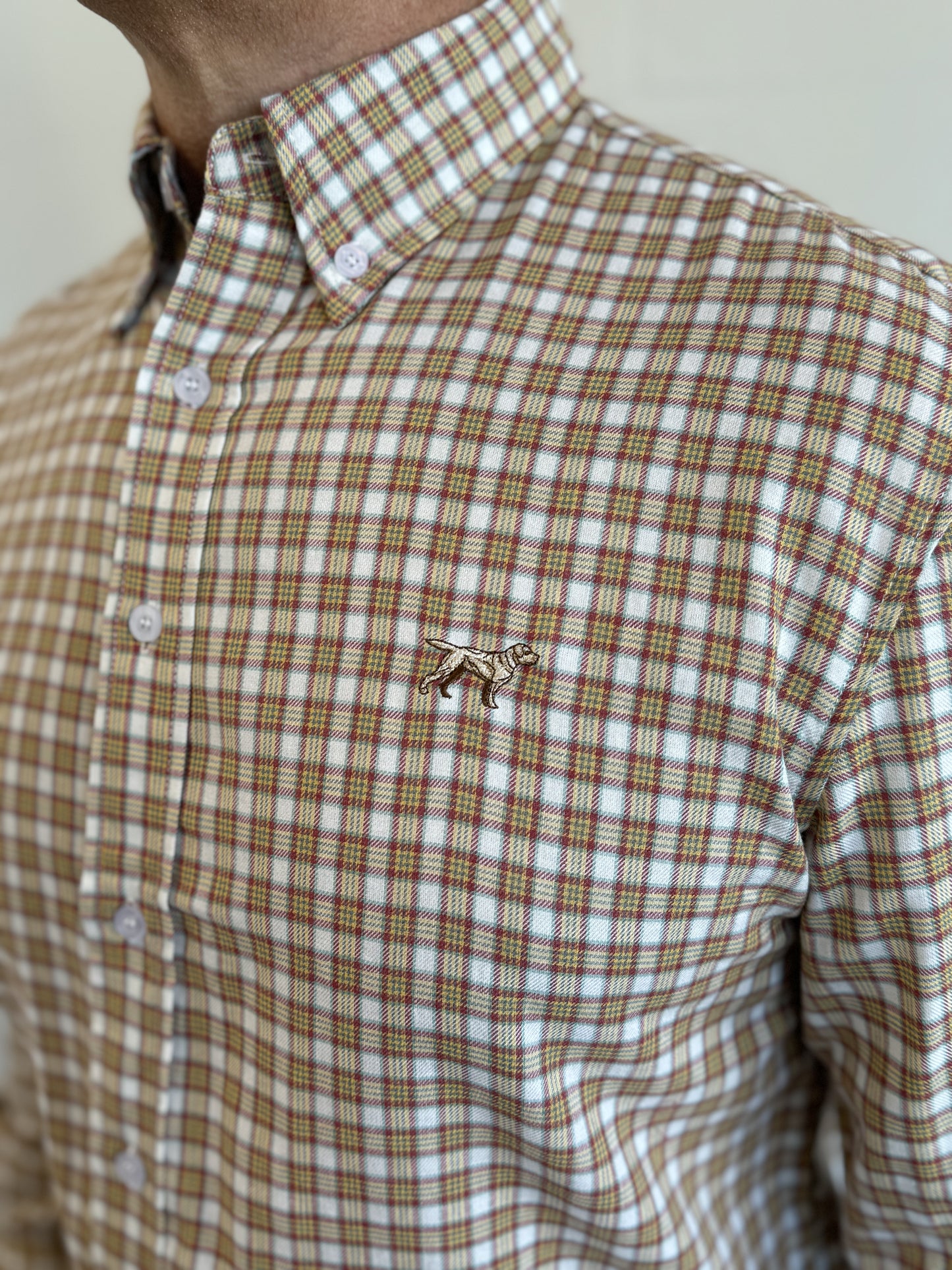 Harvester Button Down