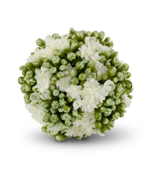 4 in. white Kalanchoe Ball