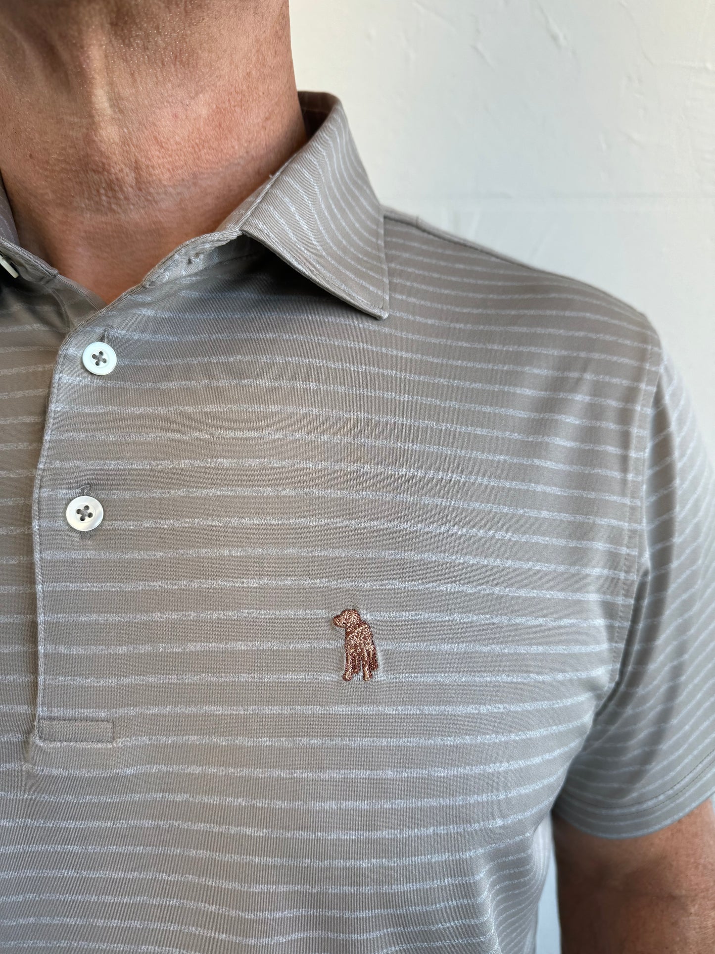 Polo Bourbon Blend Stripe